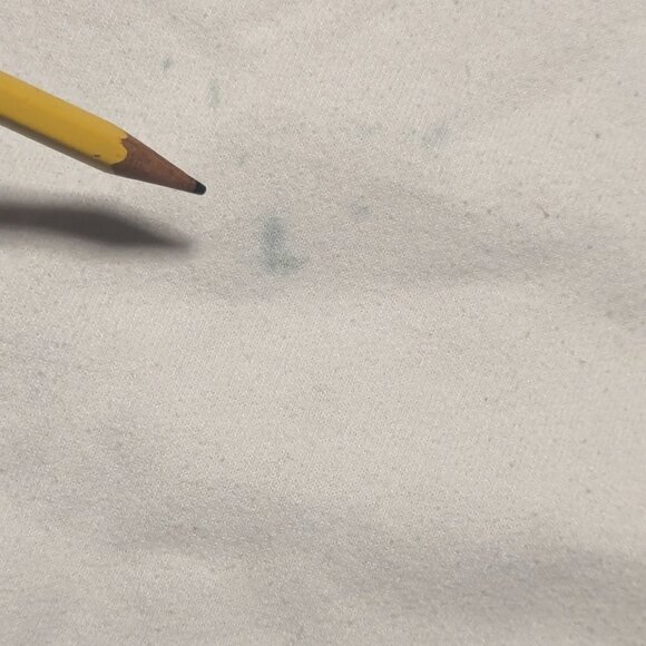 Vintage Sedona Nature Girl Gorpcore Bird Nerd Graphic Sweatshirt 90’s Y2K - Picture 5 of 7